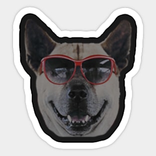 Dog wearing glasses Sticker